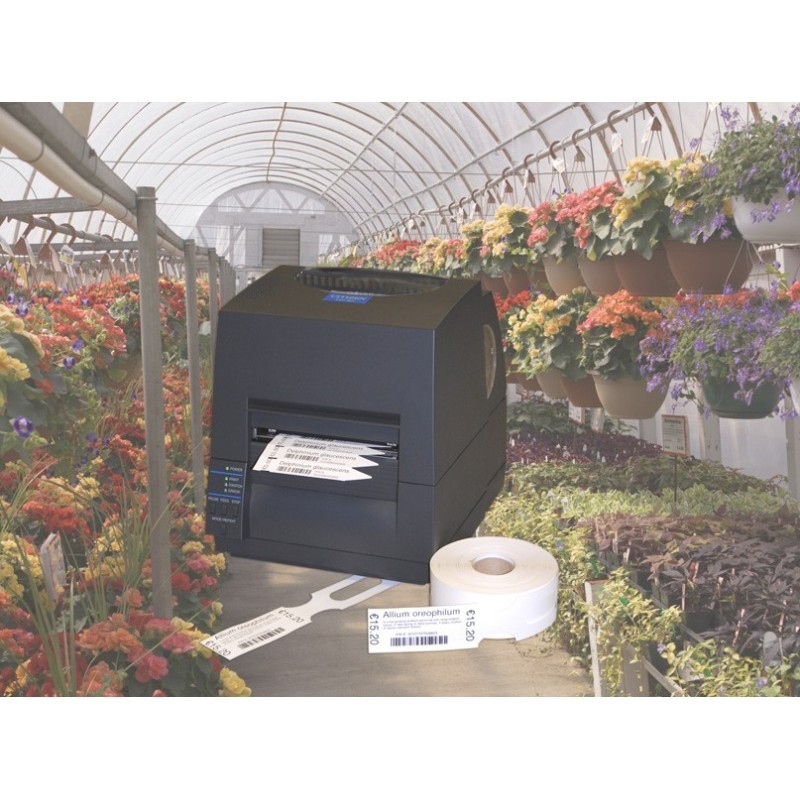 Impresora de Etiquetas Citizen CL-S621 II